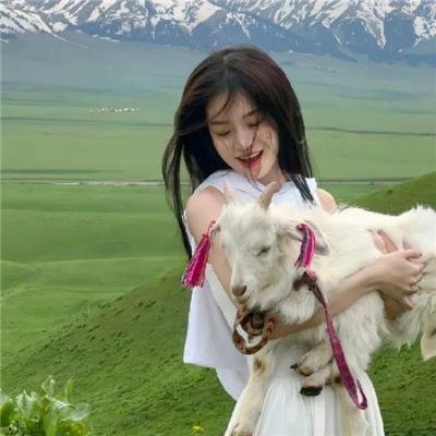 雾的子午线
